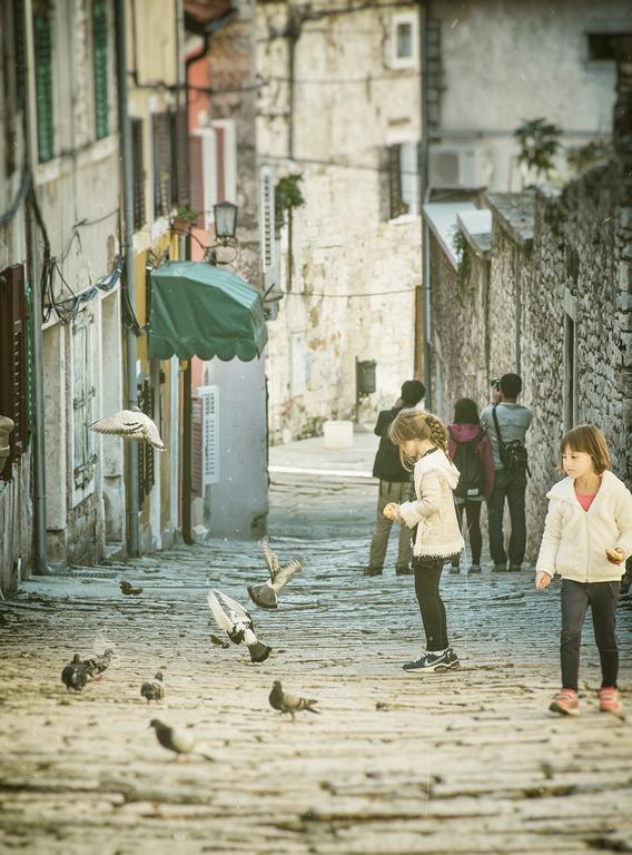 Art Kuca Cvajner Apartamento PUY Quarto foto